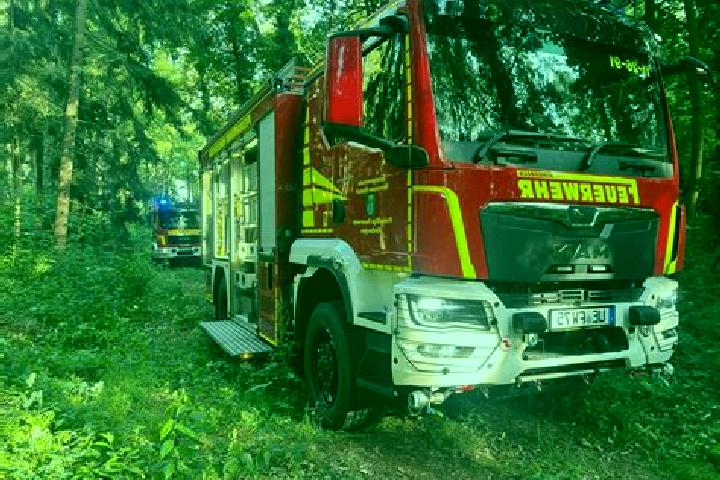 escort Himbergen