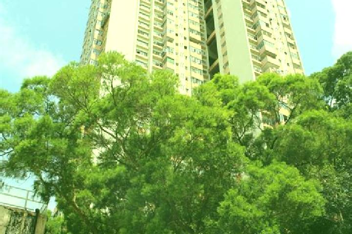 escort Hing Man Estate