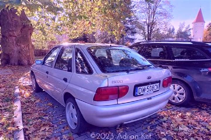 escort Hochdonn