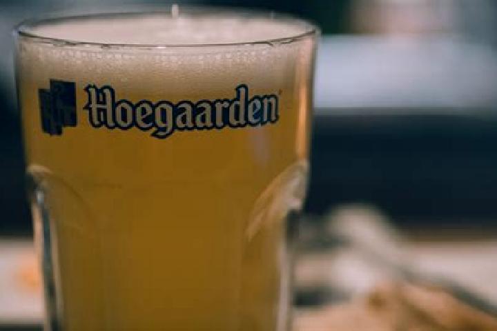 escort Hoegaarden