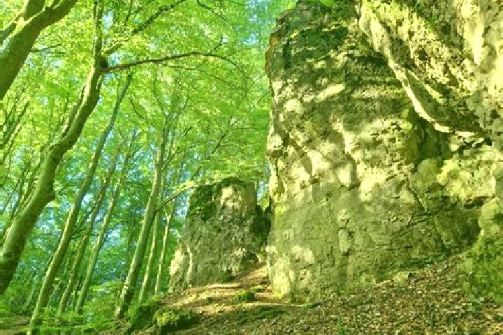 escort Hohenfels-Essingen