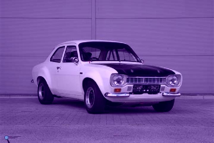 escort Holdingford