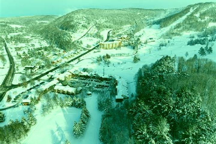 escort Holiday Valley