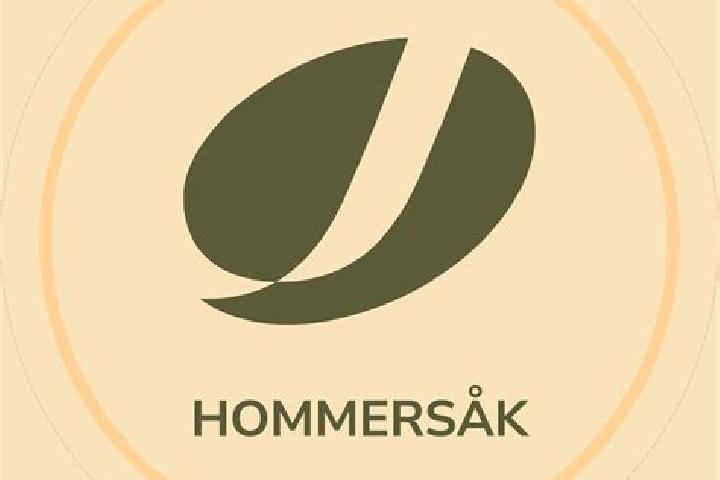 escort Hommersak