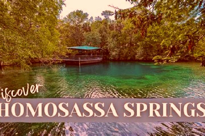 escort Homosassa Springs