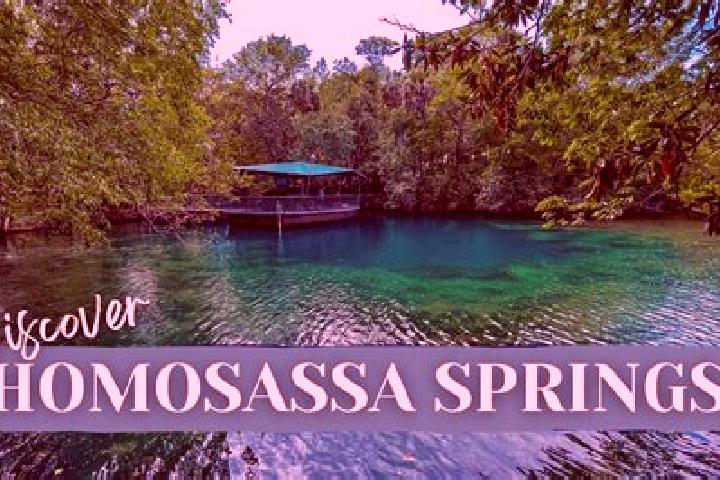 escort Homosassa
