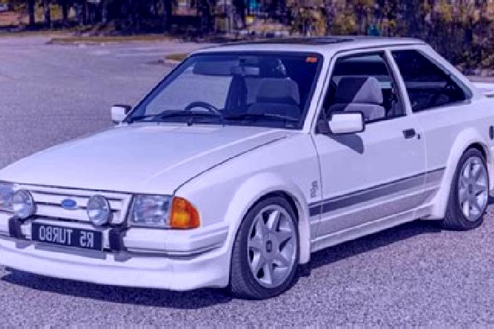 escort Homun