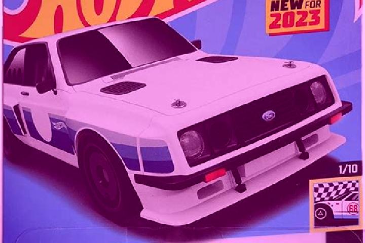 escort Hongshi