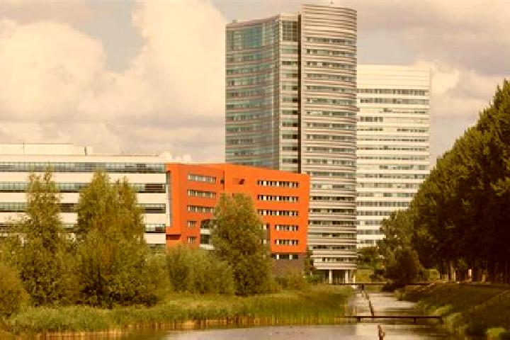 escort Hoofddorp