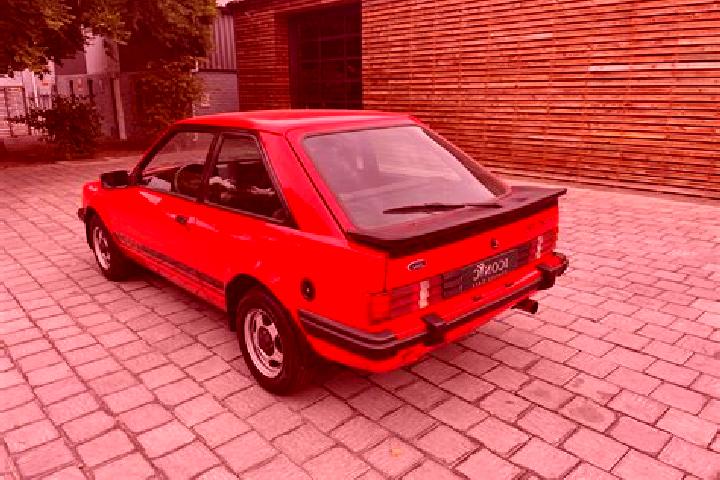 escort Hooglede