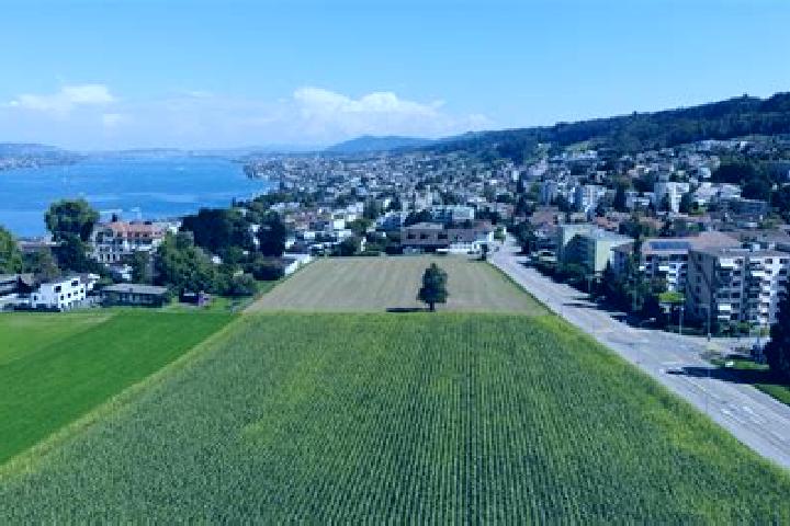 escort Horgen / Allmend