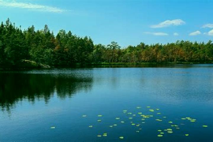 escort Horn Lake