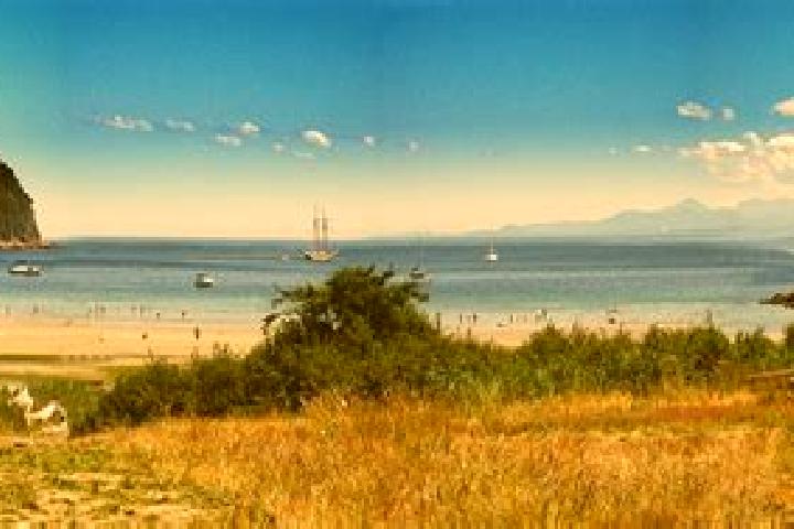 escort Hornby Island