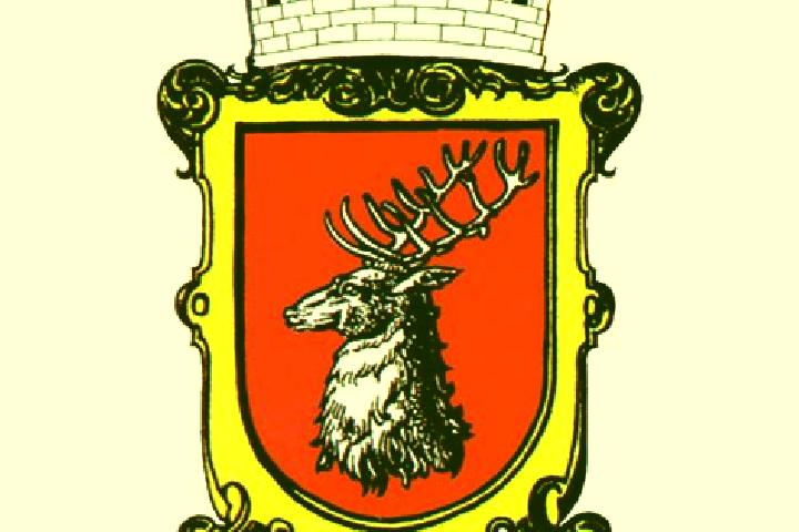 escort Horni Jeleni