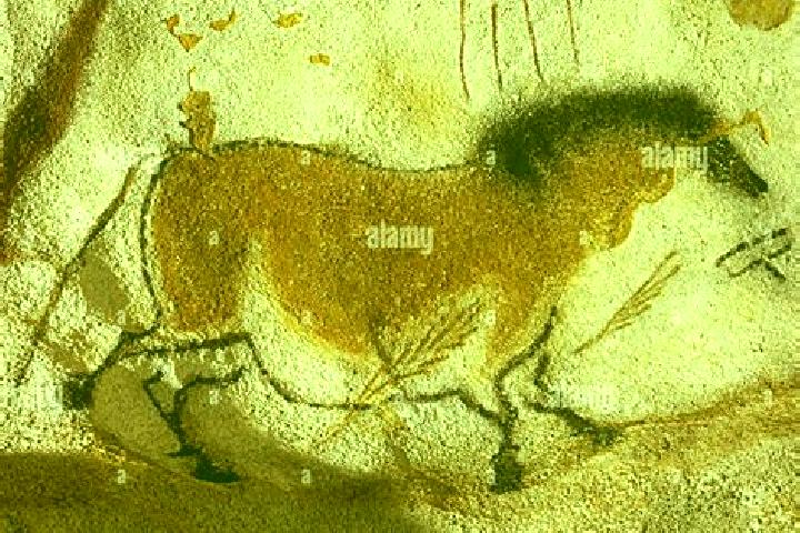 escort Horse Cave