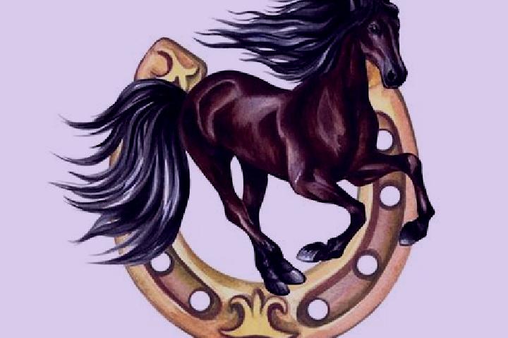 escort Horse Shoe