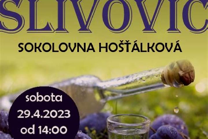 escort Hostalkova