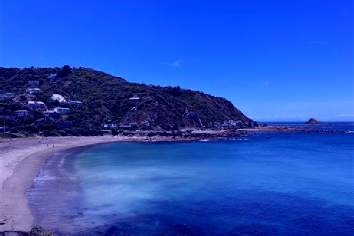 escort Houghton Bay