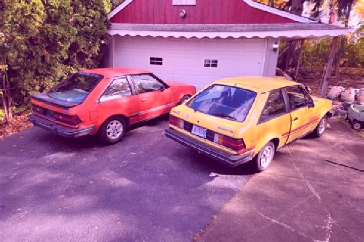 escort Hoyershausen