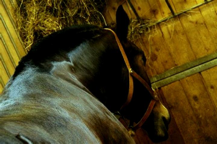 escort Huby-Saint-Leu