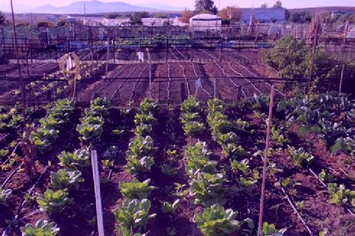escort Huerta de Arriba
