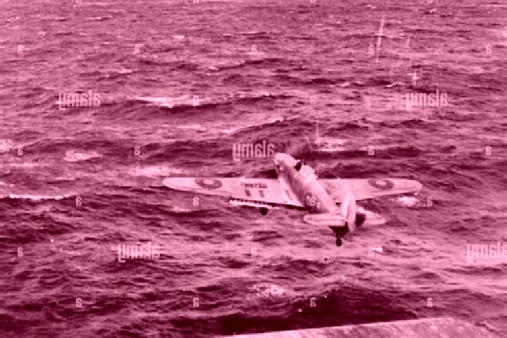 escort Hurricane