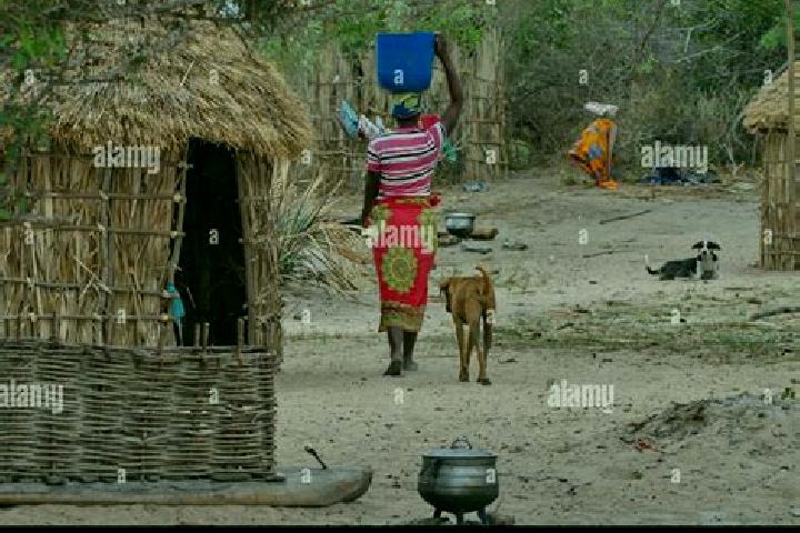 escort Hut