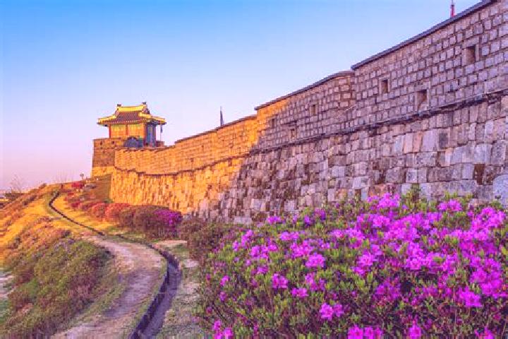 escort Hwaseong-si