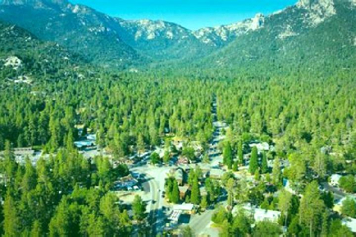 escort Idyllwild-Pine Cove