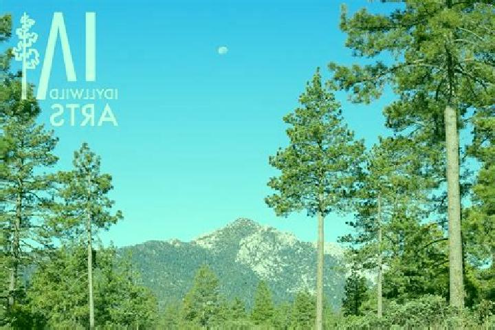 escort Idyllwild