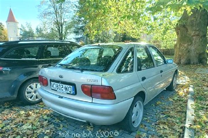 escort Igbeti
