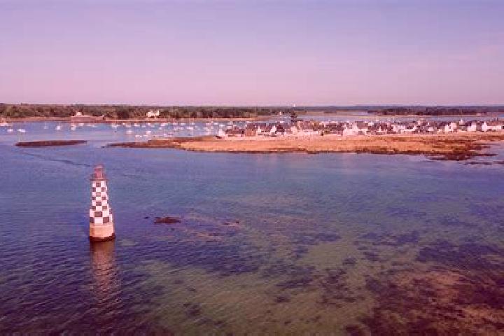 escort Ile-Tudy