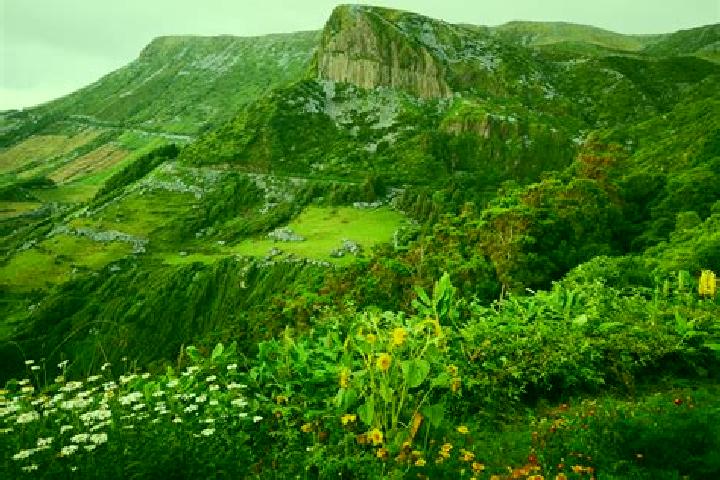 escort Ilha das Flores