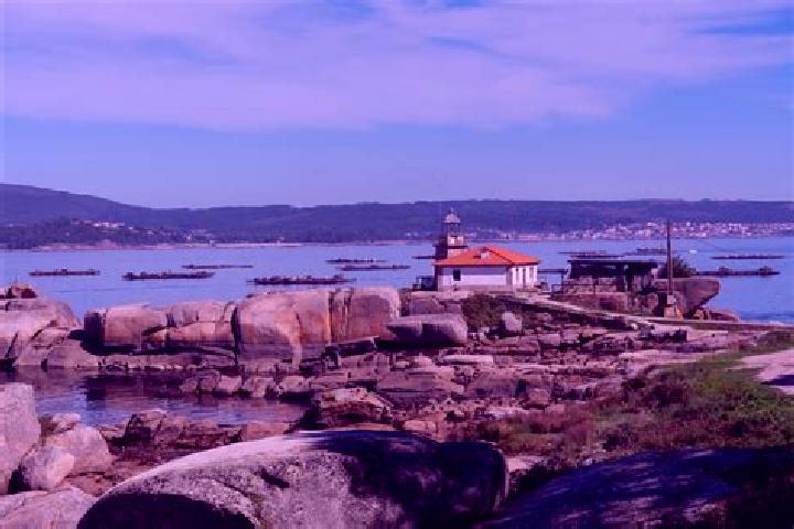 escort Illa de Arousa