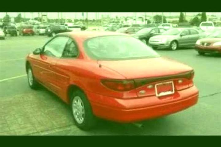 escort Imlay City