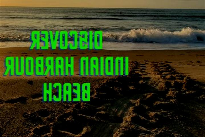 escort Indian Harbour Beach