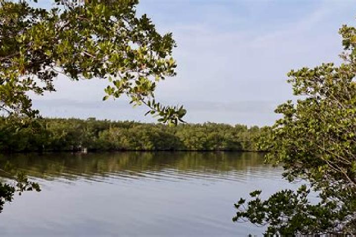 escort Indian River