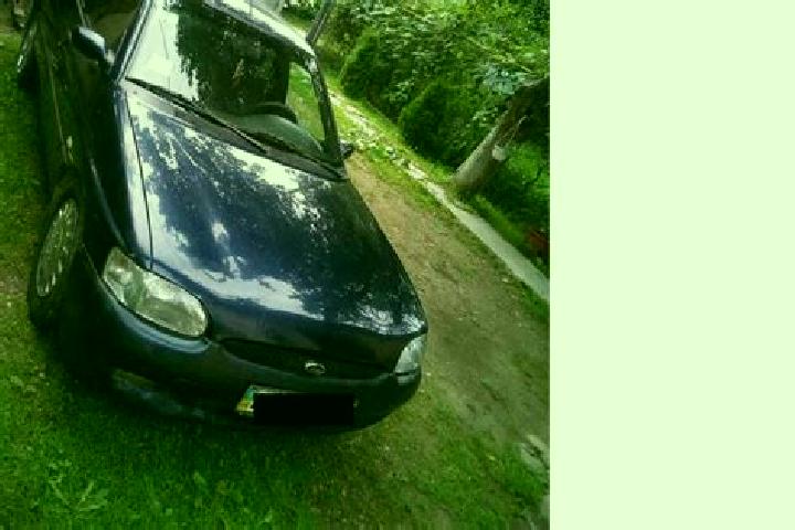 escort Irshava