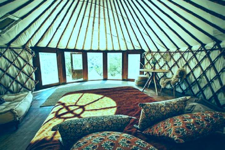 escort Ishkhoy-Yurt