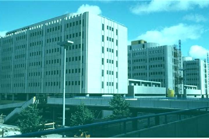 escort Itae-Pasila