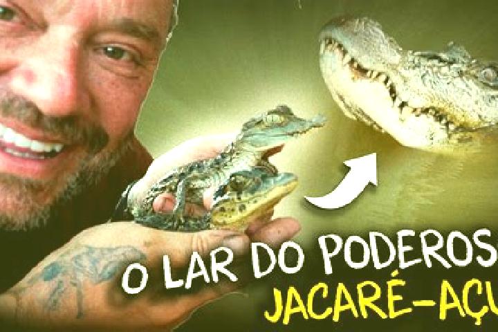 escort Jacare dos Homens