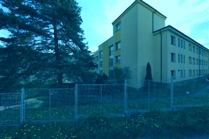 escort Jakubcovice nad Odrou