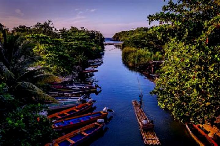 escort Jamaica