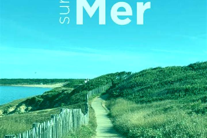 escort Jard-sur-Mer