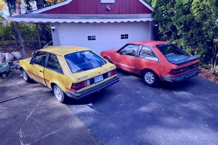 escort Jarrol