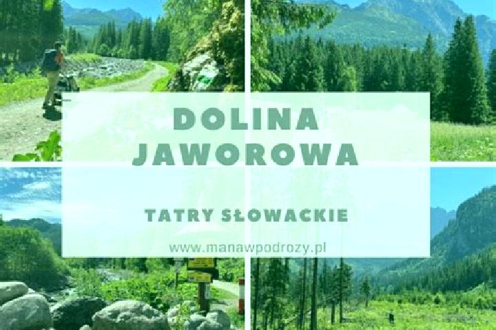 escort Jaworowa