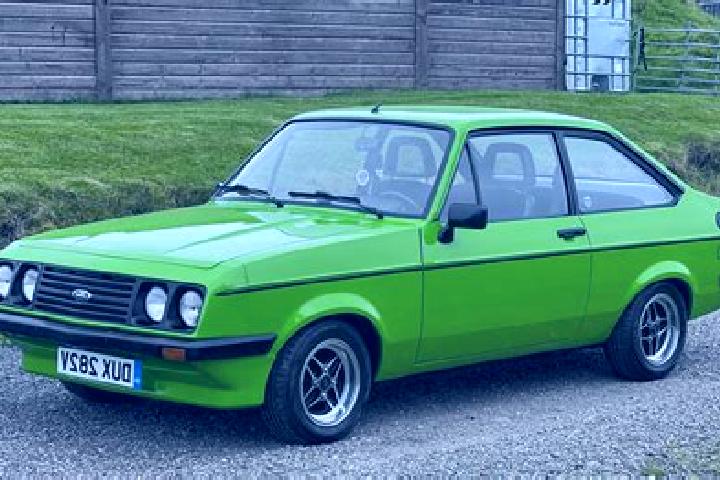 escort Jelsi