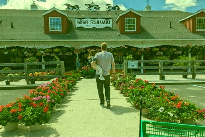 escort Jersey Farm