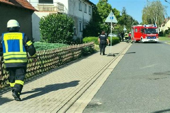 escort Jerxheim