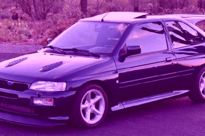 escort Jevremovac